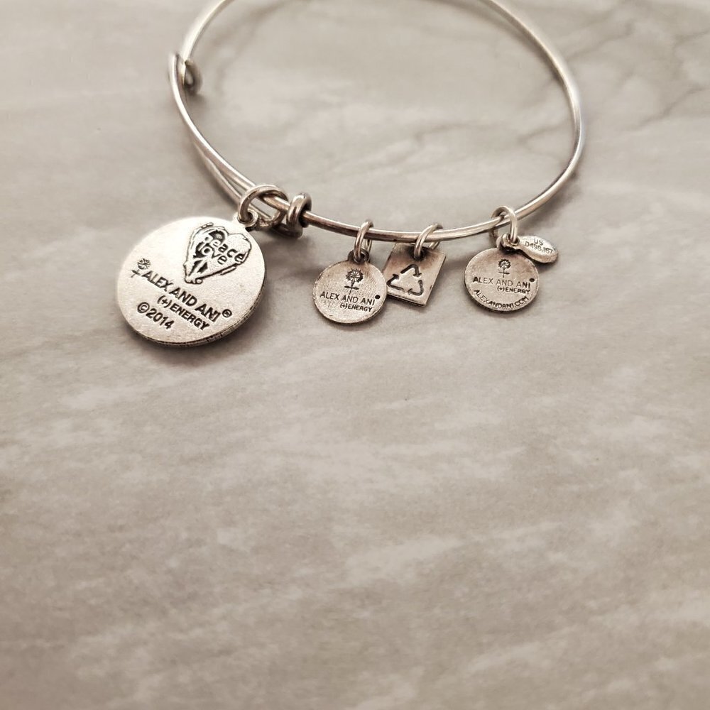 Alex and Ani Create Peace of Mind Expandable Charm Bracelet - Picture 4 of 5